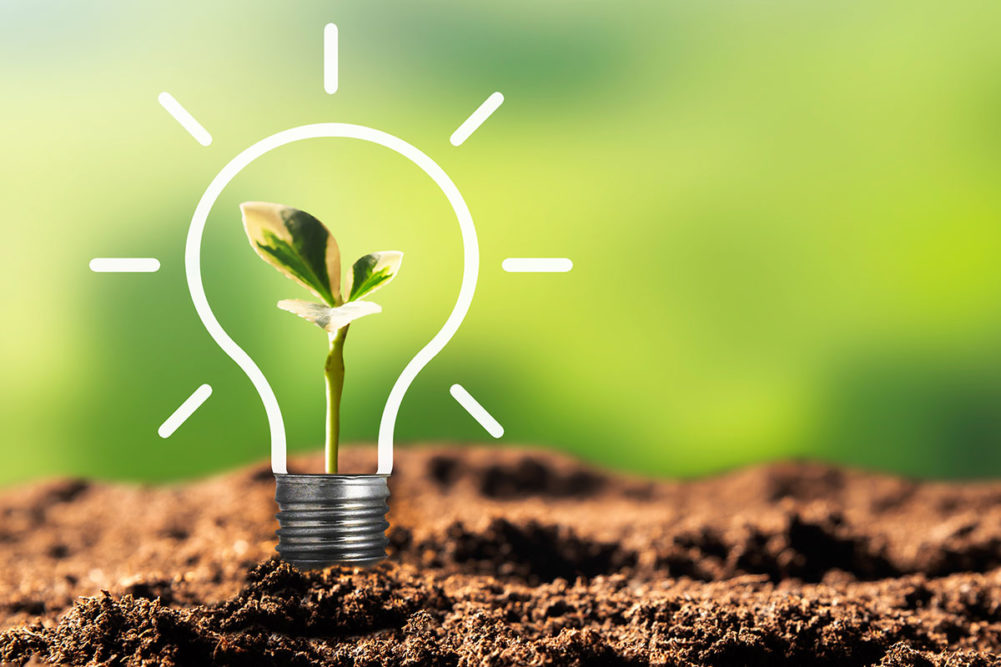 Environmental Sustainability